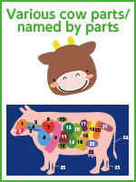 Various cow parts/named by parts