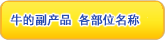 牛的副产品 各部位名称