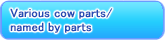 Various cow parts/named by parts