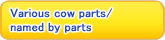 Various cow parts/named by parts