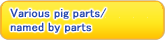 Various pig parts/named by parts
