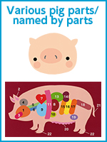 Various pig parts/named by parts